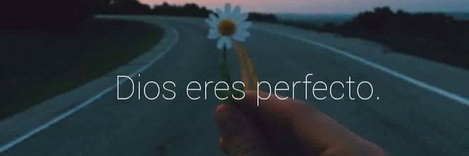 ngarciap17's profile banner image