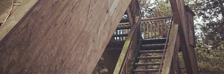 F_RTess's profile banner image