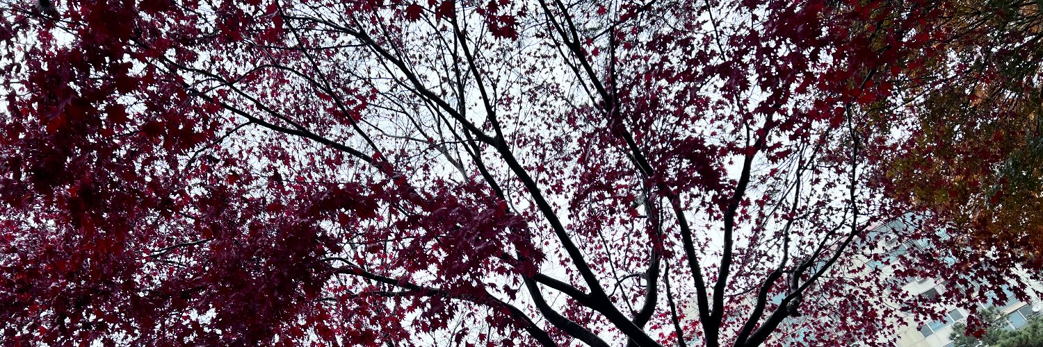 이멍 banner