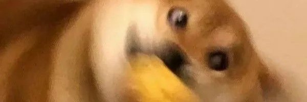 bpt_6969's profile banner image