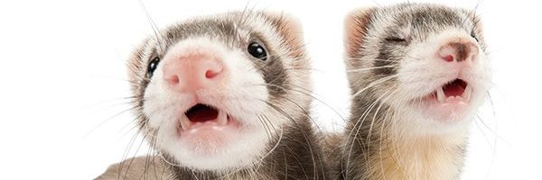 kneecwp's profile banner image