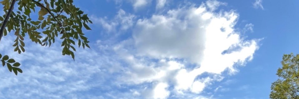 Yucari0401's profile banner image