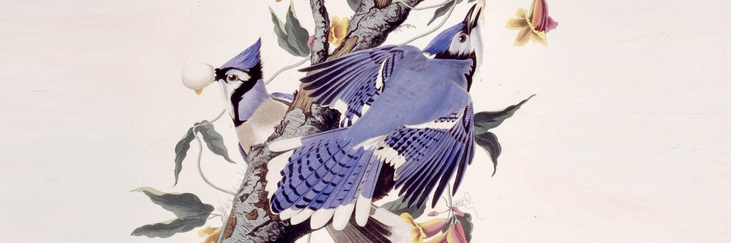 Toronto Public Library banner