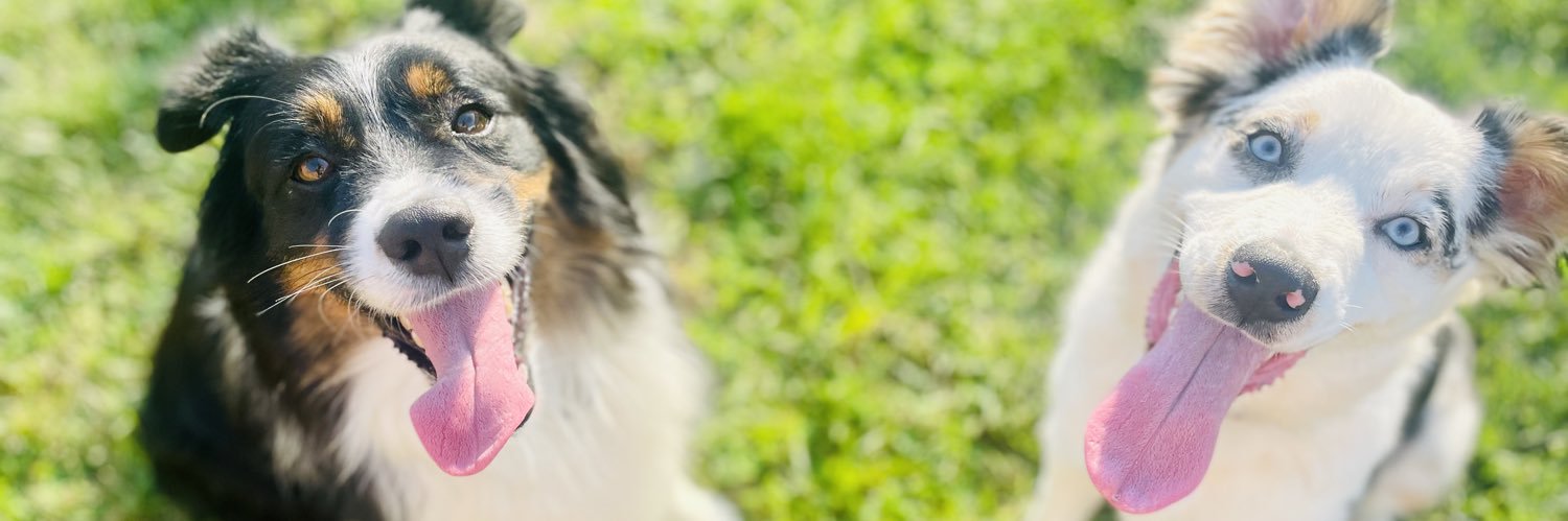 graci_armstrong's profile banner image