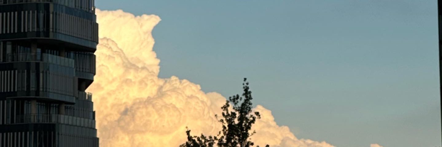 Bayanda M Yende banner