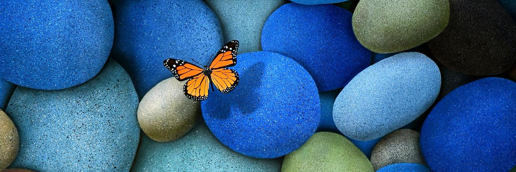 Melissa Hollen banner