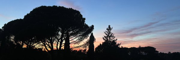 NervaMiss Profile Banner