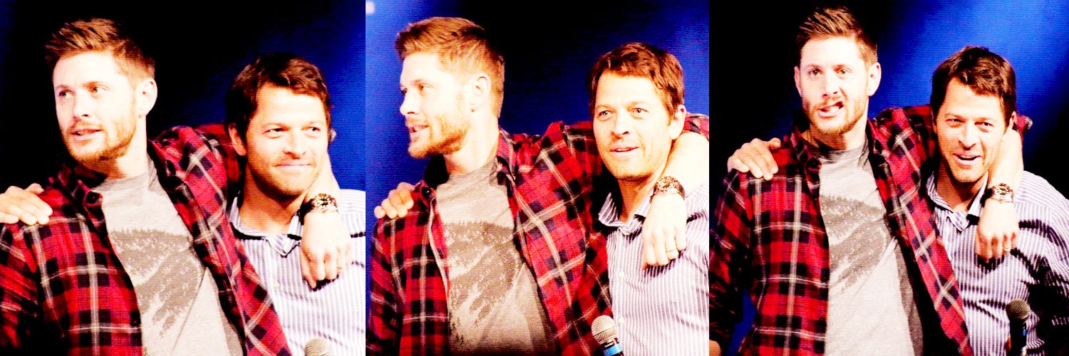 shipstiel's profile banner image