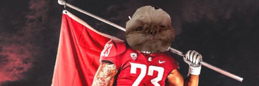 Josie Sandquist banner