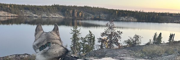 ohhhfuckyabud Profile Banner