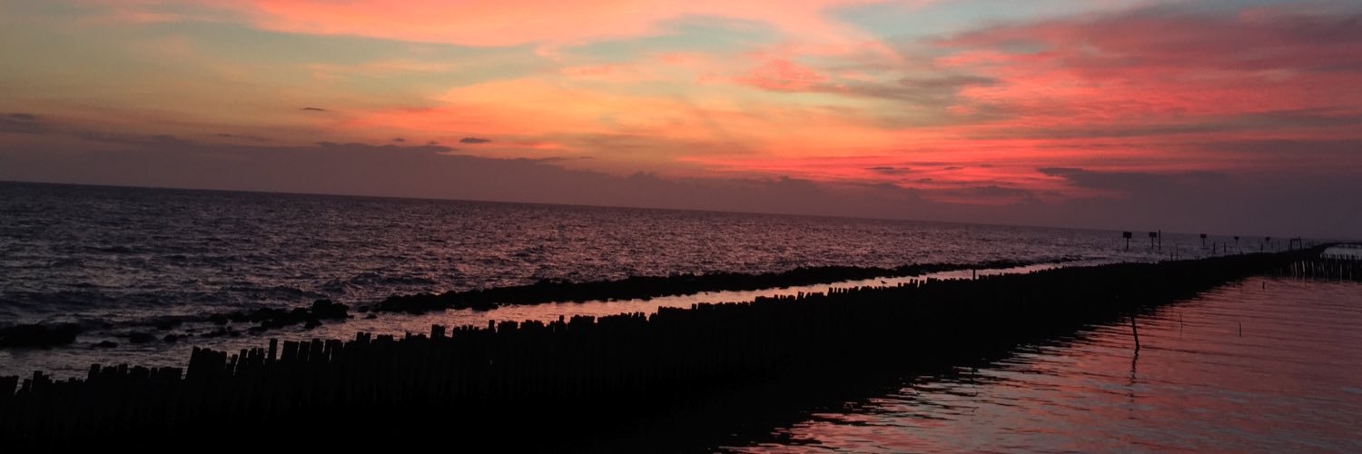 pare_pd's profile banner image