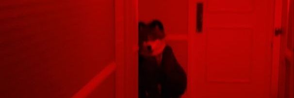 That Feckin Fox banner