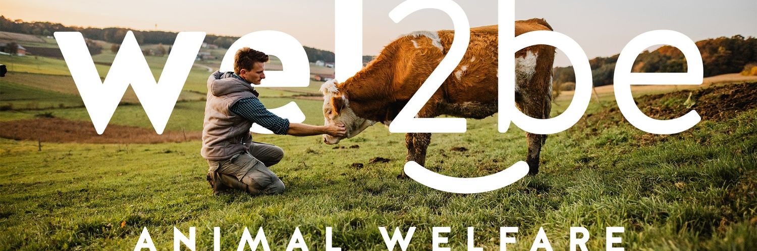 WEL2BE banner