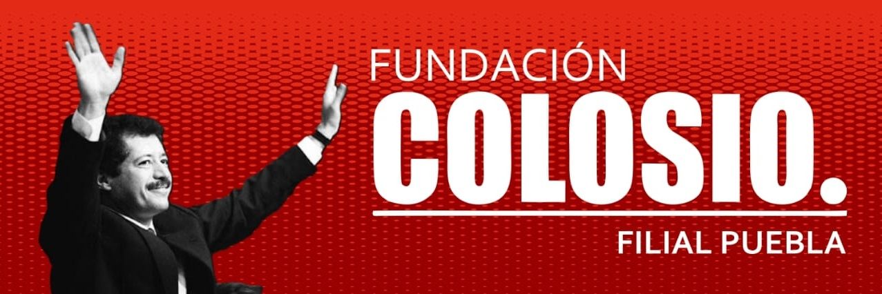 ROCIO TOXQUI banner
