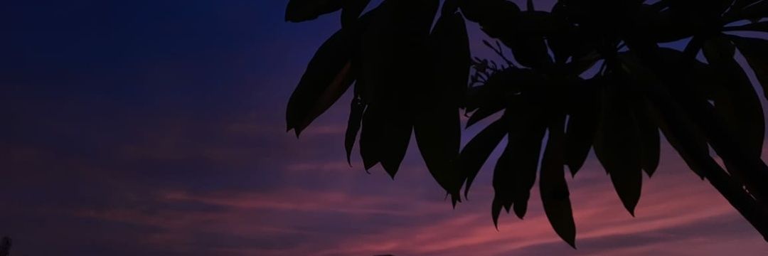 itsmepreee's profile banner image