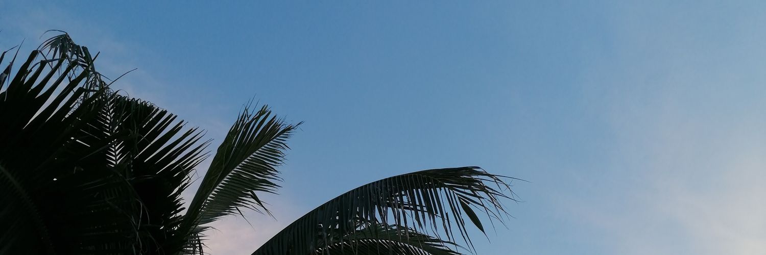 MikeXfirdaus's profile banner image