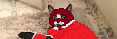 Snaf banner