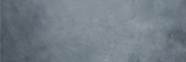 Raiden Shogun Profile Banner