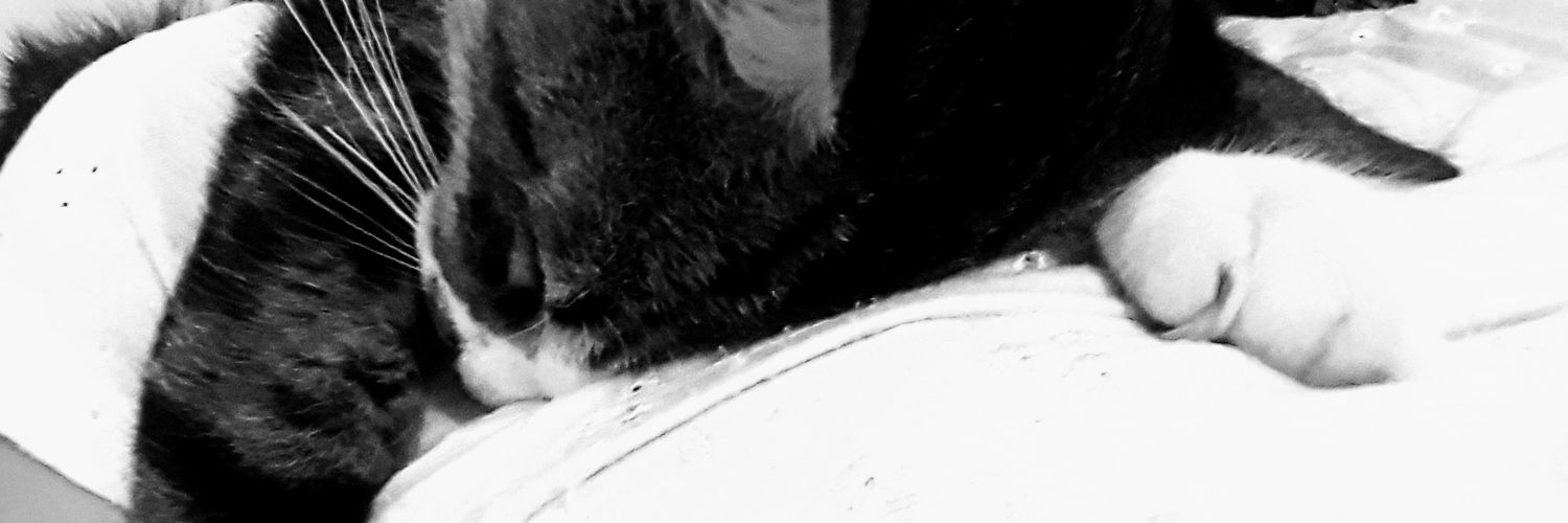 LauDiazO's profile banner image