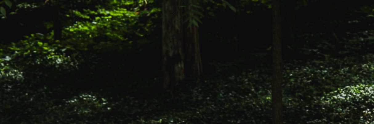 😮‍💨📸Royal Uchiha📸😮‍💨 banner