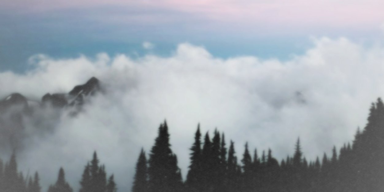 twinkerlarry's profile banner image