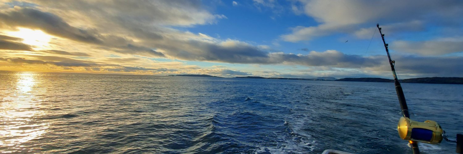 Grace McNicholas (she/her) banner