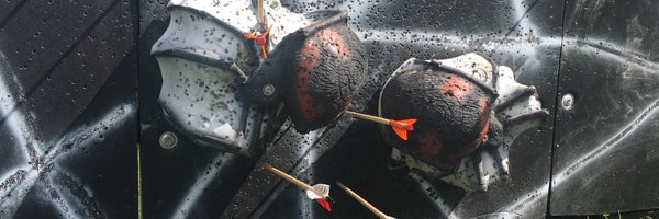 Pechmann_M Profile Banner