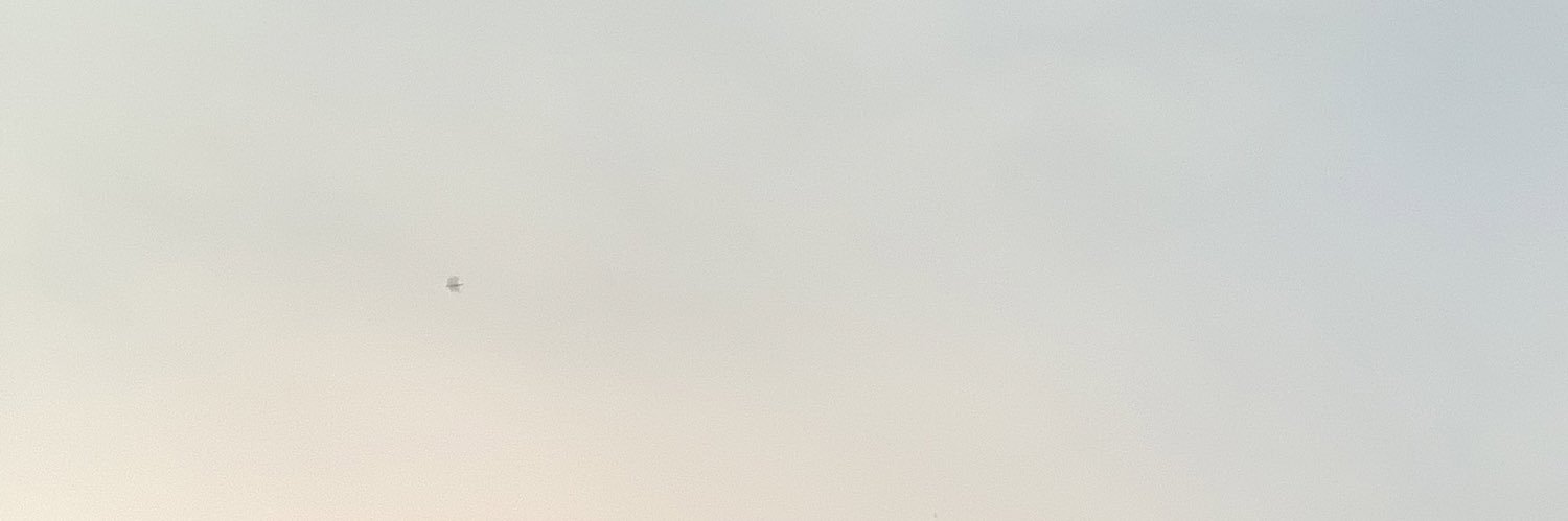 jelloeria's profile banner image