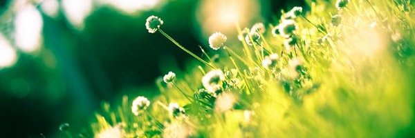 DDjcjh's profile banner image