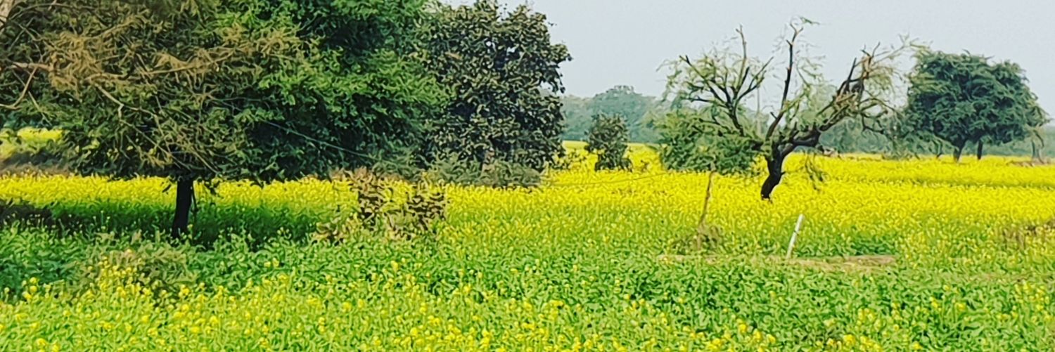 Pushpendra Dwivedi banner