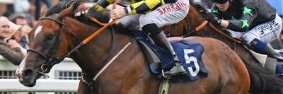 Patzipaloosa's profile banner image