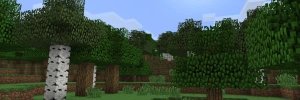 Aidawg banner