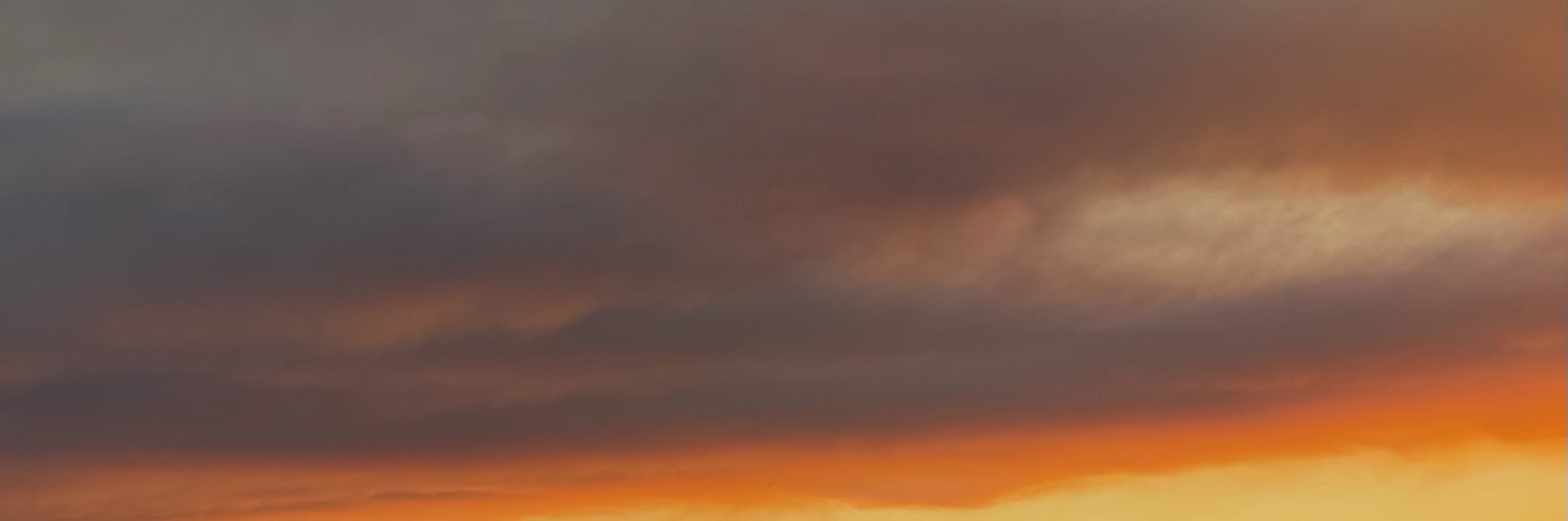 gulsegulduleer's profile banner image