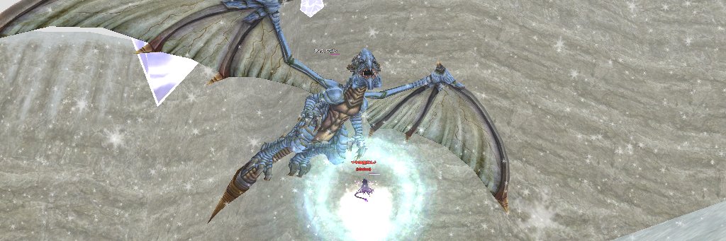 シャトノワール🐾Chaton🐈‍⬛ banner