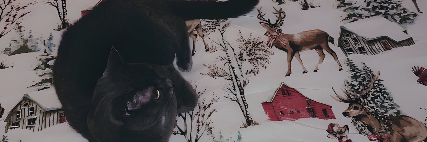 kasidieferrari's profile banner image