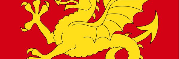DarthMeerkat Profile Banner