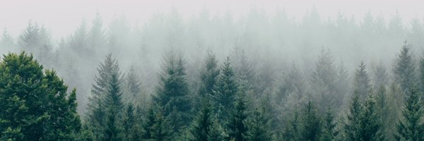 web3emm Profile Banner