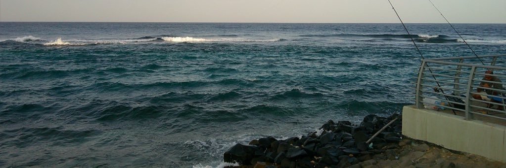 nana النخبويه banner