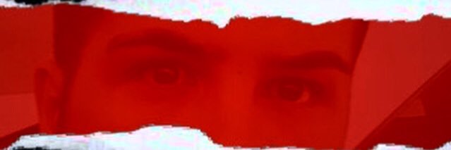 Rafa bicolor banner