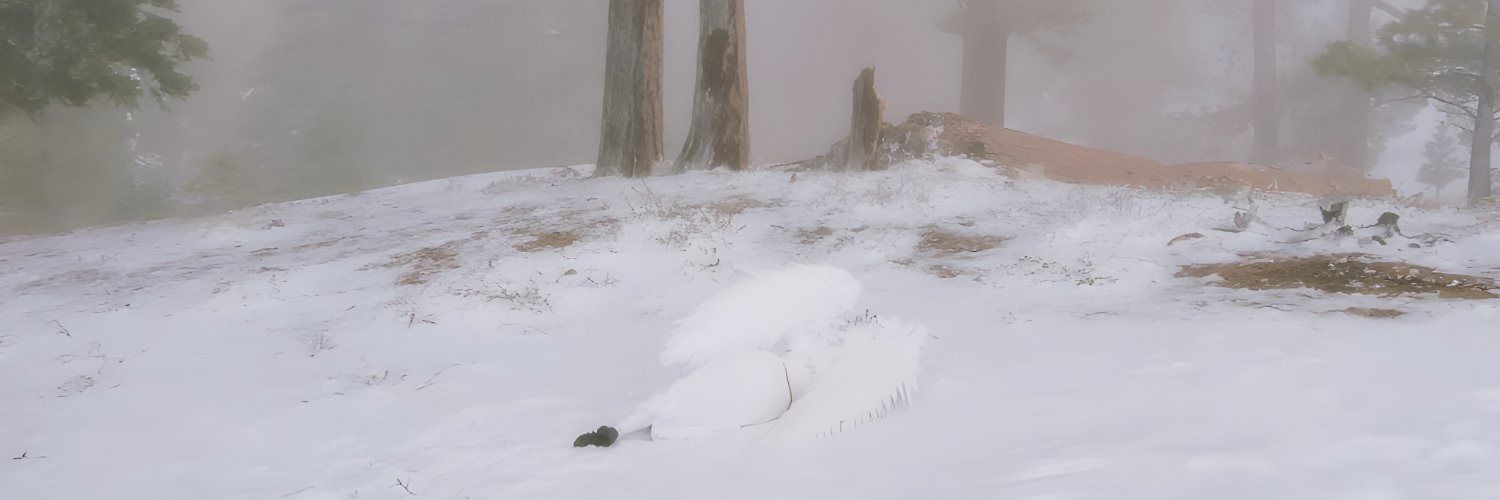 aiyk banner