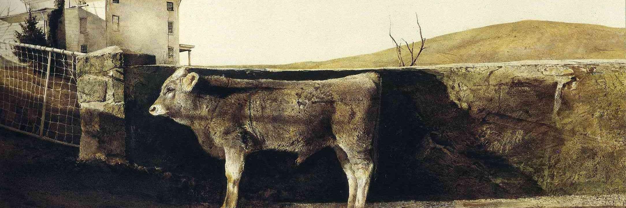 Jon Cole Fan Account ㊗ banner