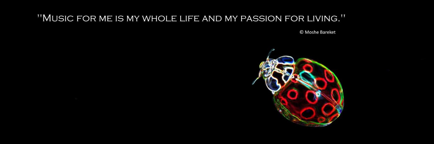 Moshe Bareket banner