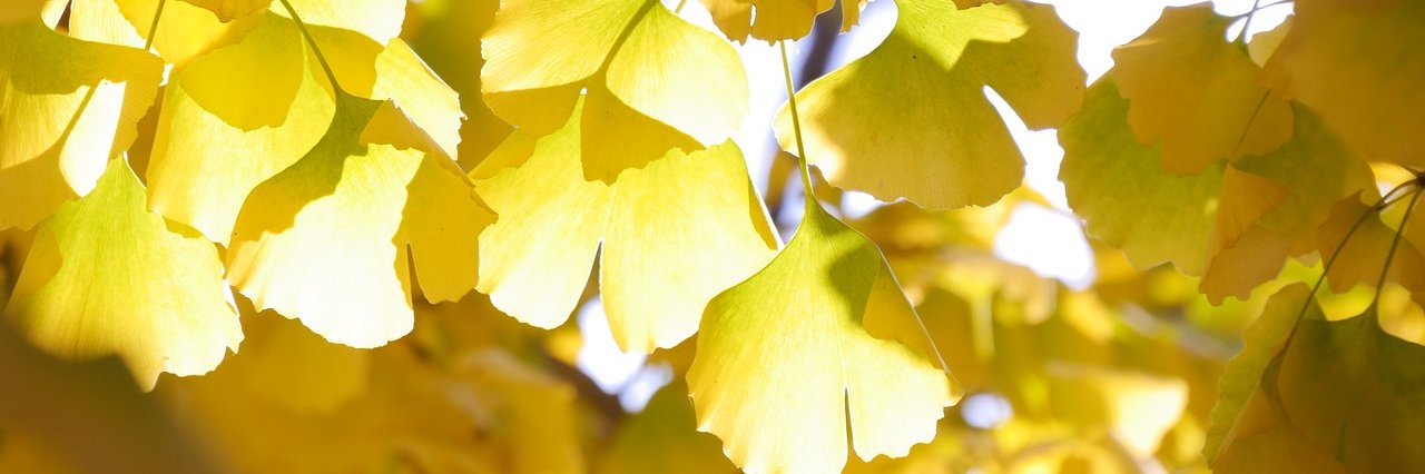 Chu P:} This is 💞 นิรุธ banner