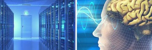 Kelly Cox | O'Brien banner