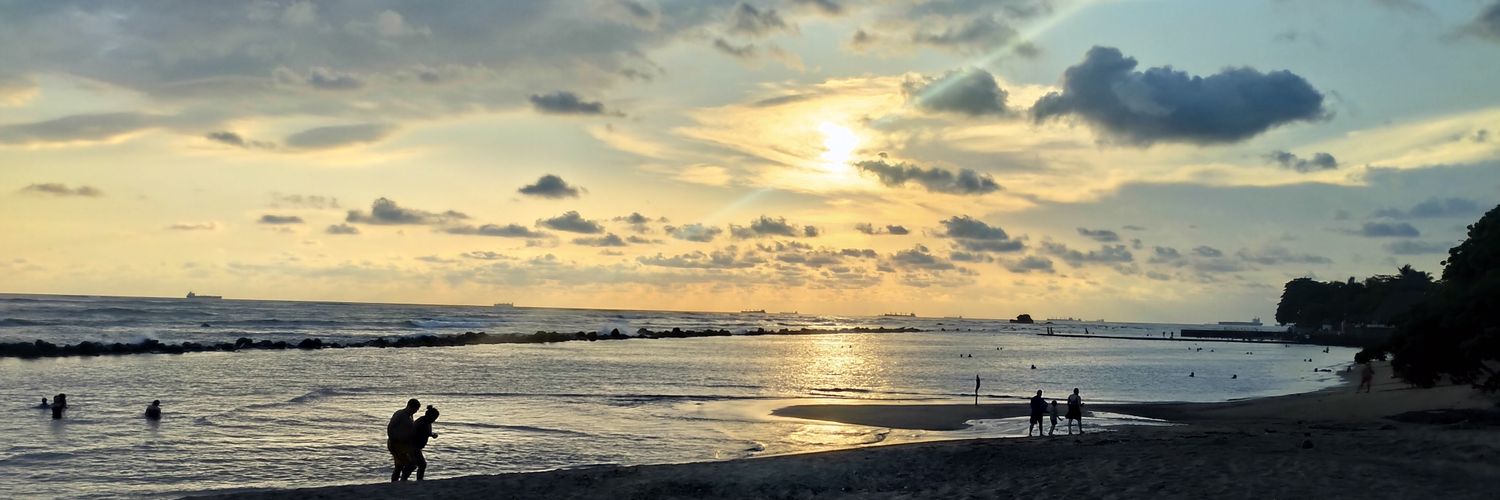 joly_yoly's profile banner image