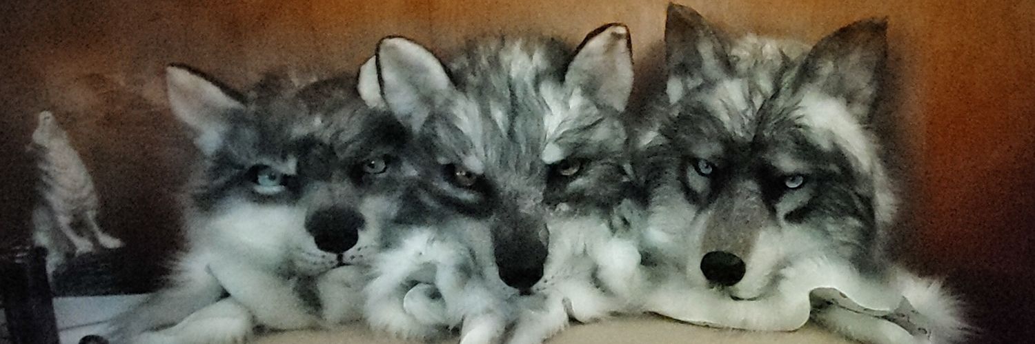 ExiledInTheDark's profile banner image
