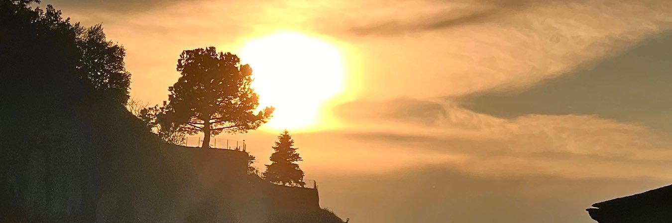 Gabs banner