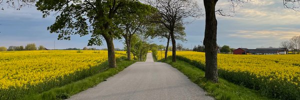 thomaslundstrom Profile Banner