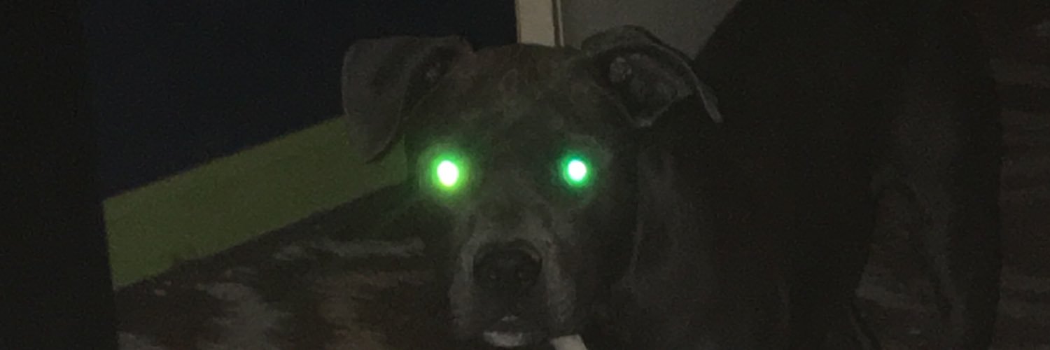 LutzSunny's profile banner image