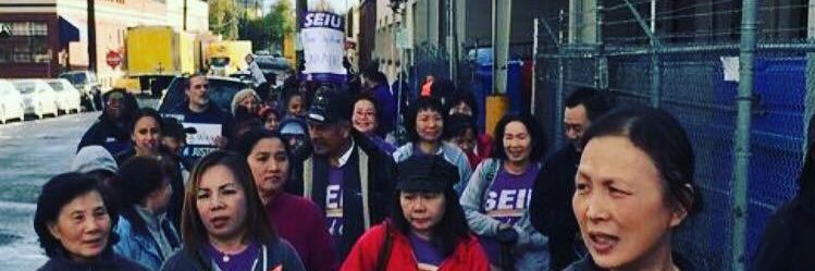 Meg Niemi banner